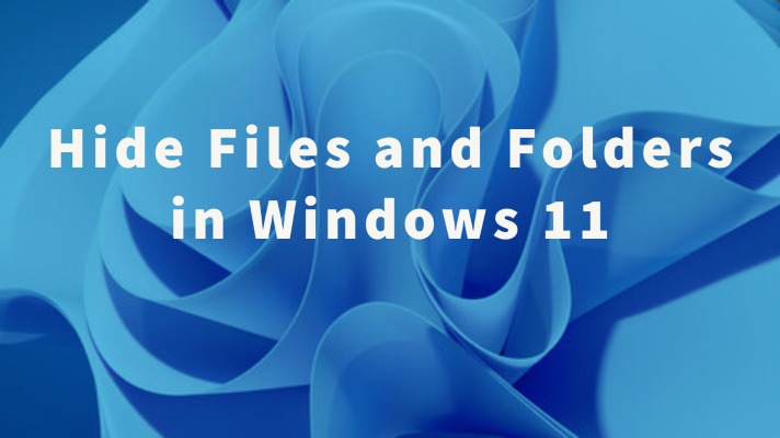 Hide Files and Folders in Windows 11