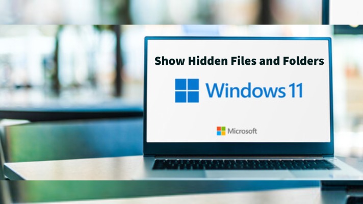 Show Hidden Files and Folders on Windows 11