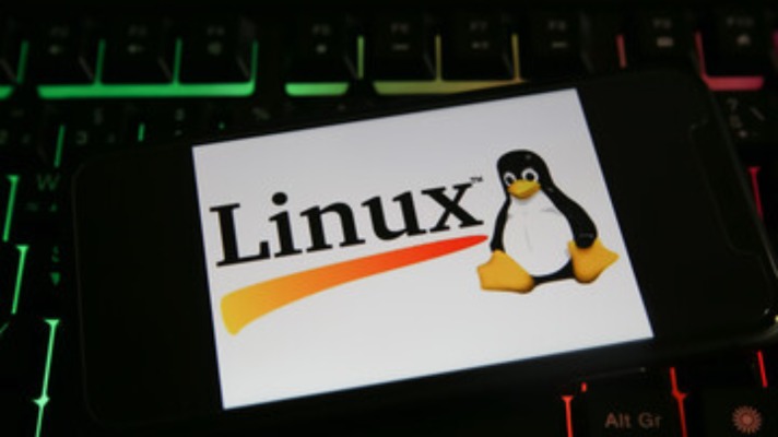 What is Linux File System
