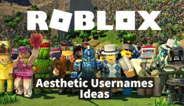 Aesthetic-Roblox-Usernames